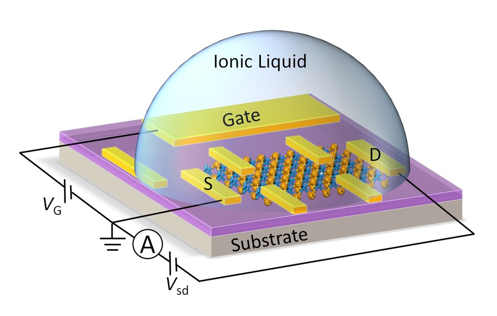 New metals and superconductors from ionic liquid gating