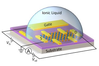 New metals and superconductors from ionic liquid gating