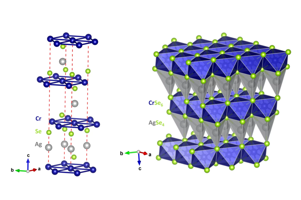 Non-oxy delafossites: unconventional spin orbit entangled magnetism and electron transport