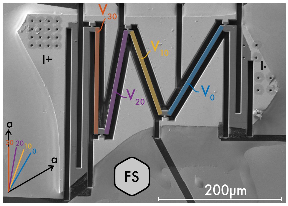 Mesoscopic correlated electron and topological physics