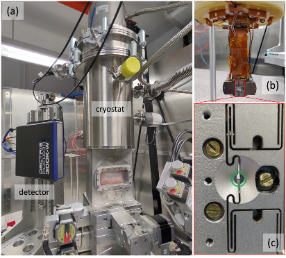 Structure of spin liquids under uniaxial pressure