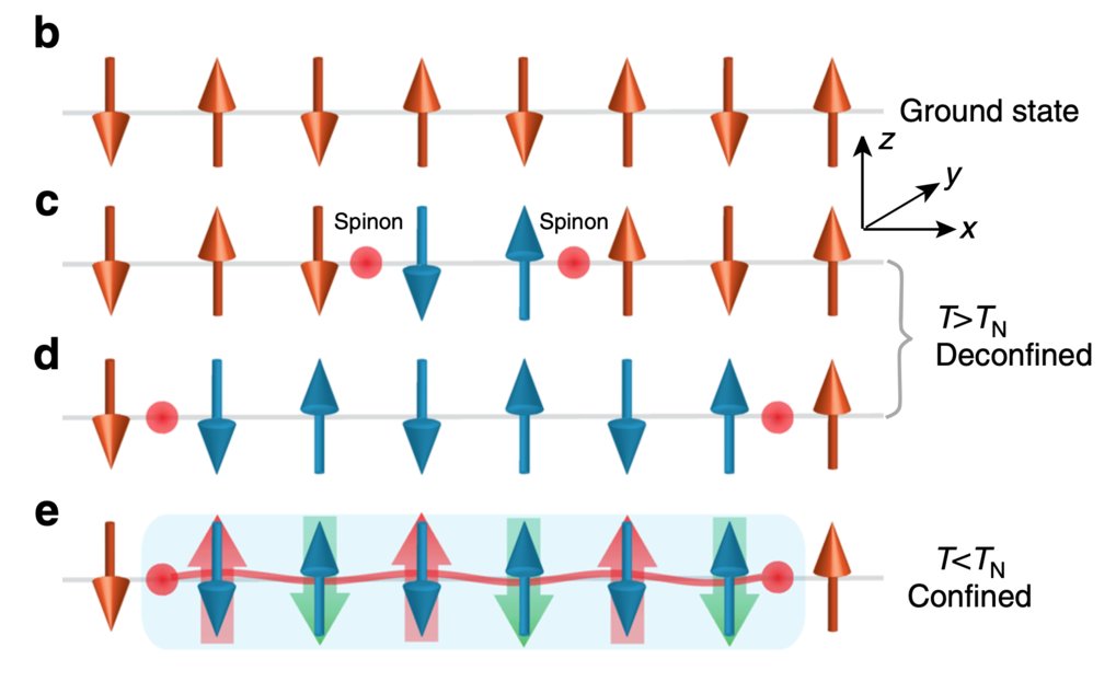 Unconventional states explored by thermal transport