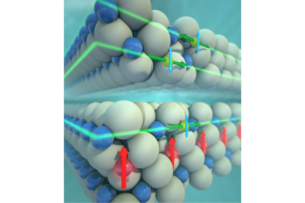 Bismuth-rich topological materials: From discovery to devices