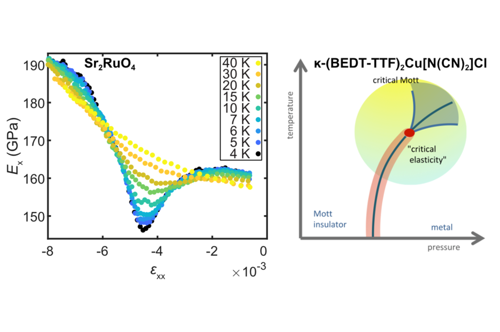 Probing giant elastic coupling in exotic magnets and superconductors