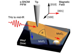 Nanoscopy of Topological Phases in Polaritonic Media