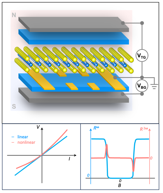 Non-reciprocal transport properties in 2D materials