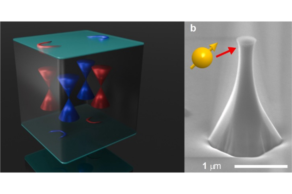 Exploring topological superconductivity with single spin magnetic sensor