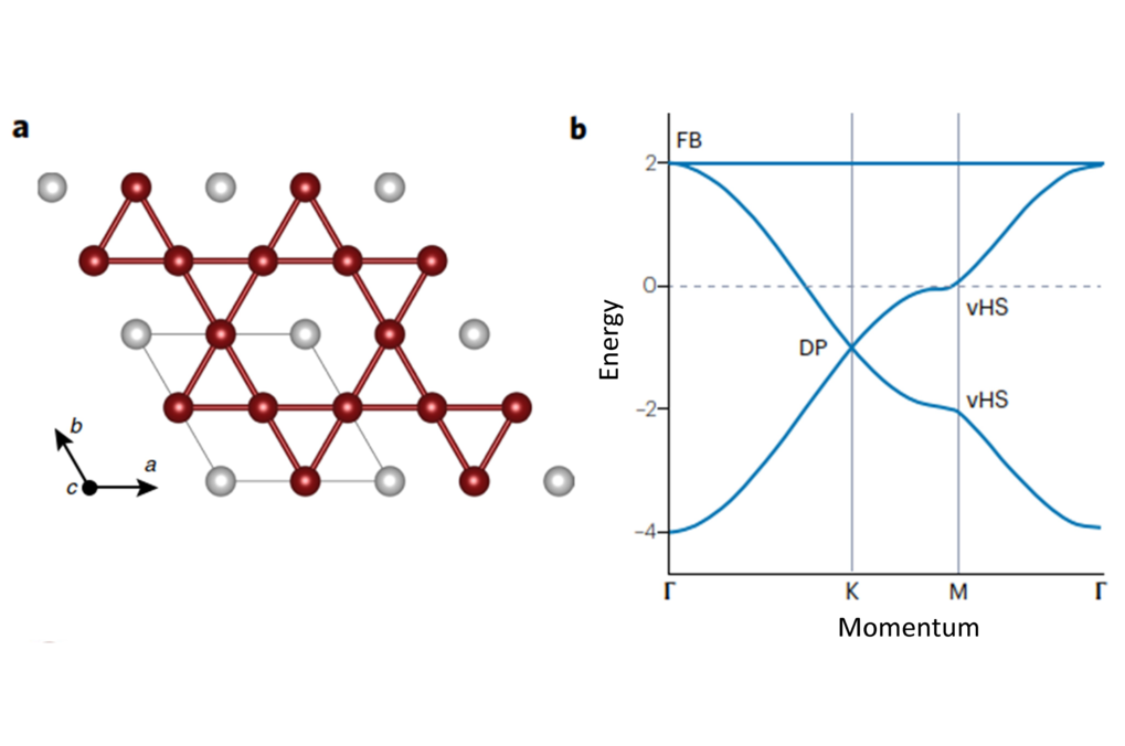 Quantum Magnetometry Imaging and Manipulation of Magnetic Orders in Kagome Topological (Anti-)Ferromagnets