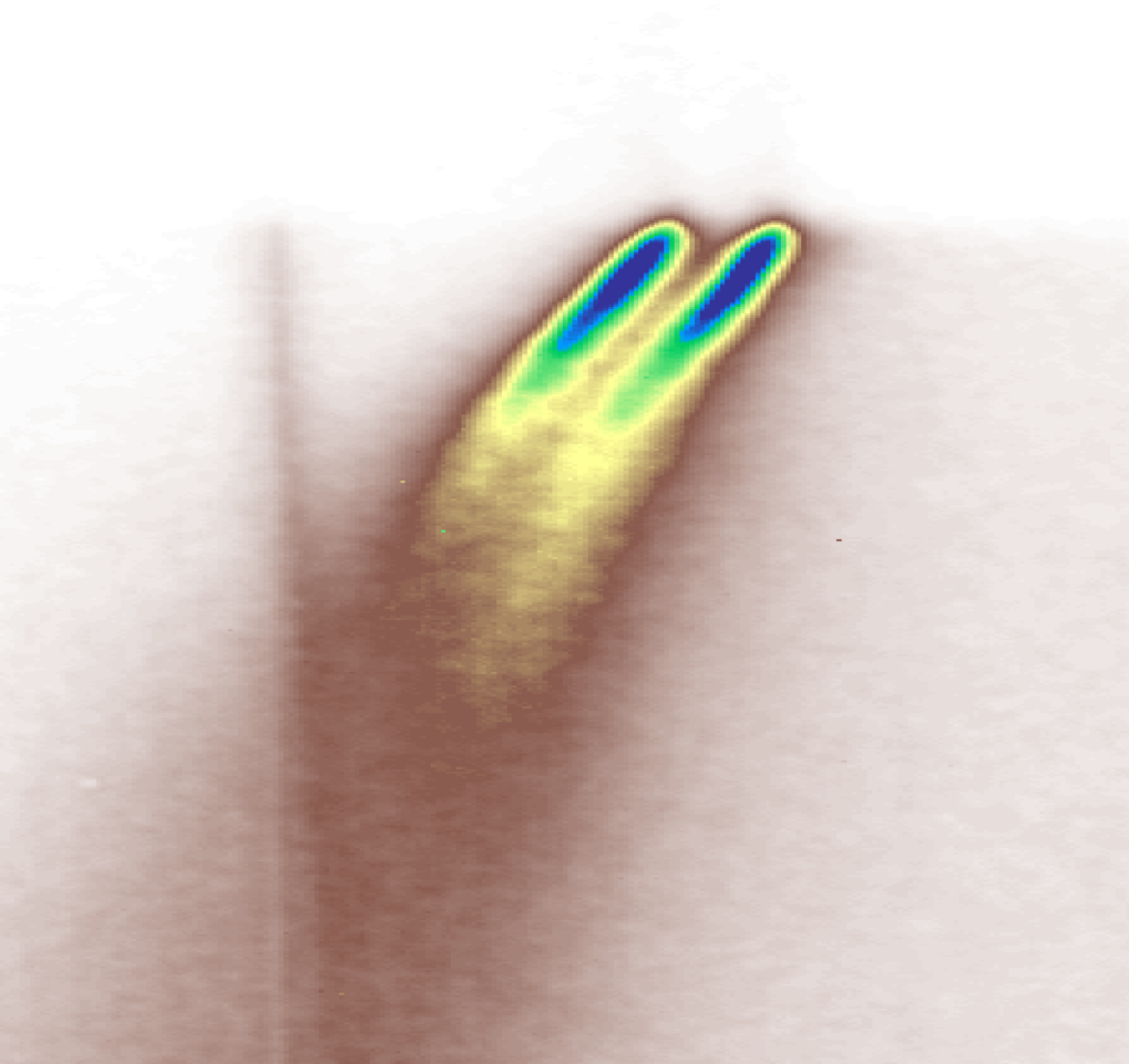 Correlated Electron Physics of Delafossite Oxide Metals